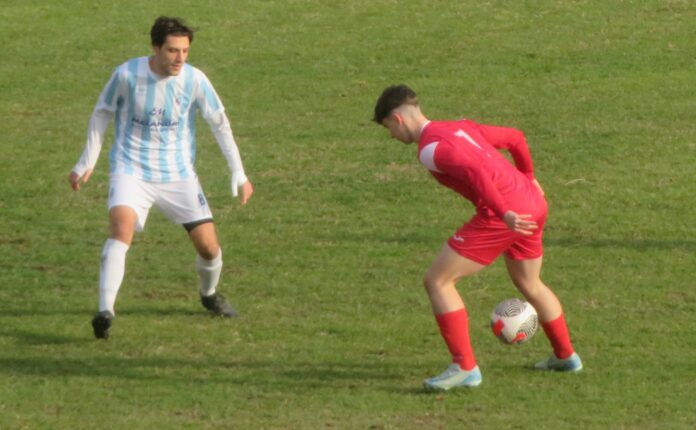 bertoni e del bianco