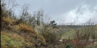 Riolo Terme: frana isola una trentina di persone