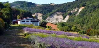 AmaParco Academy alla Rocca di Riolo e al Giardino delle Erbe di Casola Valsenio