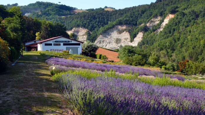 giardino_delle_erbe_casola_4-OK-1935x1090