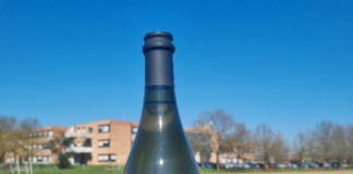 Maturando: la prima bottiglia di vino del Perdisa