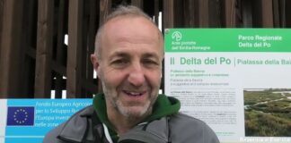 Nuova torretta di avvistamento alla Pialassa della Baiona