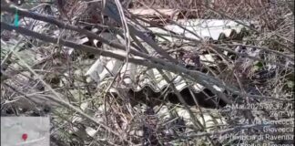 Segnalazione di un utente: amianto abbandonato lungo il fiume a Lugo