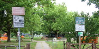 Conselice: pubblicato il bando per la gestione del bar all’interno del parco “Bourgoin Jallieu”