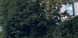 Ordine degli Ingegneri: al via martedì 18 un corso di formazione in quattro puntate sulle pavimentazioni stradali