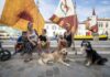 Progetto Visit Romagna Pet Friendly: al via gli incontri di formazione