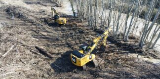 Già iniziate le operazioni di rimozione dei tronchi dagli alvei dei fiumi e di verifica di tenuta degli argini dopo le piene del fine settimana