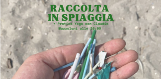 Domenica 23 Marzo Gli Ecocentrici Tornano In Spiaggia: Raccolta Rifiuti E Yoga Per Un Ambiente Più Pulito