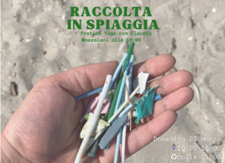 Domenica 23 Marzo Gli Ecocentrici Tornano In Spiaggia: Raccolta Rifiuti E Yoga Per Un Ambiente Più Pulito