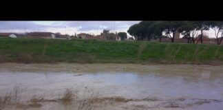 Cotignola: aggiornamento sulle condizioni del fiume Senio