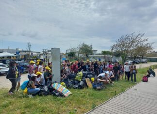 In 140 a raccogliere rifiuti nella pineta di Marina di Ravenna