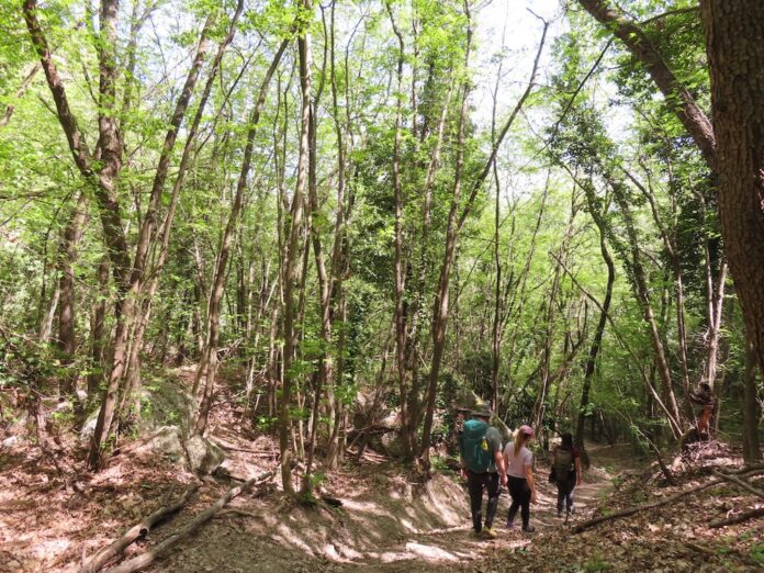 Escursionisti Vena del Gesso Romagnola
