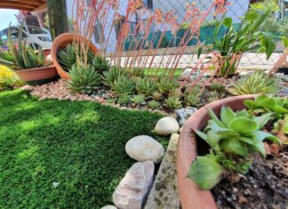 Fusignano: concorso «L’angolo fiorito», aperte le iscrizioni alla 23esima edizione