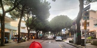 Pini Lido Savio: “chiusura delle strade, un pò di chiarezza”