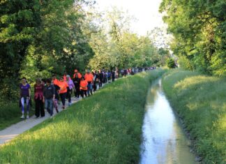 “Cammina con Noi”: successo per l’iniziativa di Donne Protette contro il tumore al seno