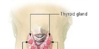 I giovedì della salute: nuovo appuntamento per parlare di tiroide