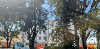 Al via la riqualificazione delle aree verdi di piazza Lanzoni