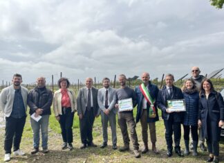 LA BCC premia la resilienza delle aziende agricole