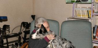 Vite da cani: mostra di Giuseppe Nicoloro alla Sala Buzzi