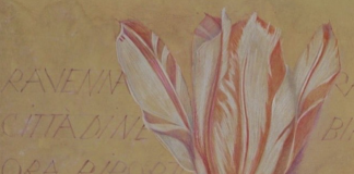 Mostra “10 aprile 1945 – 10 aprile 2025” Tavole botaniche di Mariella Busi De Logu