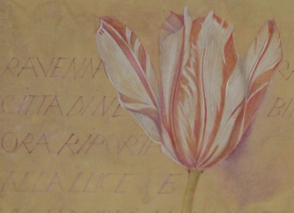 Mostra “10 aprile 1945 – 10 aprile 2025” Tavole botaniche di Mariella Busi De Logu