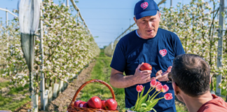 “Arte in frutteto” a Faenza: grande successo per l’evento Pink Lady® dedicato alla scoperta della biodiversità