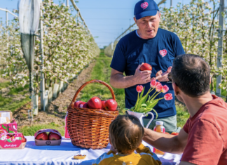 “Arte in frutteto” a Faenza: grande successo per l’evento Pink Lady® dedicato alla scoperta della biodiversità