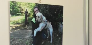 Alla sala Buzzi la mostra “Vite da cani” di Giuseppe Nicoloro