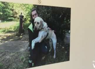 Alla sala Buzzi la mostra “Vite da cani” di Giuseppe Nicoloro