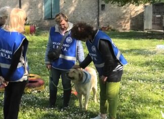 Presentato il parco sensoriale del Canile di Ravenna