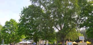 “Aria di Primavera” al Parco Teodorico di Ravenna: una giornata tra natura, arte e gusto