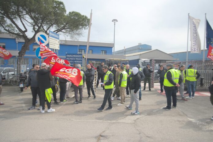 WhatsApp Image 2025-04-01 at 18.38.42