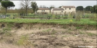 Il Lamone alle porte di Faenza dopo l’ultima piena: smottamenti, rifiuti e rispuntano gli orti