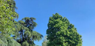 Riapre il Parco delle Cappuccine dopo i lavori di rigenerazione urbana