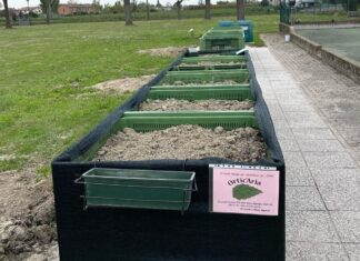 A Voltana nasce il progetto degli orti pensili: l’Asp ringrazia gli organizzatori