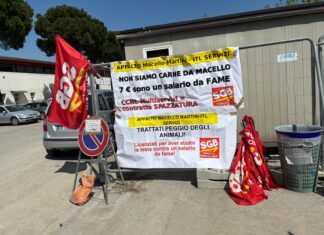 SGB Ravenna: Presidio al Macello Martini. Appalto ITL Servizi a seguito del licenziamento di 5 lavoratori