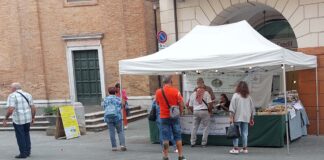 Il Bianchetto di pineta protagonista da oggi della Tartufesta 2025