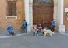 Nuova passeggiata per il centro con i cani del canile