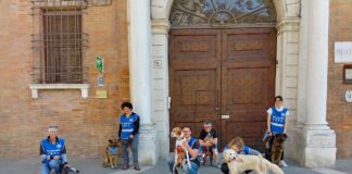 Nuova passeggiata per il centro con i cani del canile