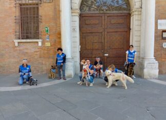 Nuova passeggiata per il centro con i cani del canile