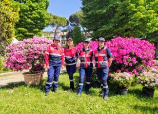 Solidarietà e Impegno: la Collaborazione tra Associazioni di Volontariato dei Carabinieri”