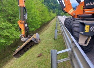 Ecogest. Verde infrastrutturale: la risposta italiana agli impatti del climate change sulle strade