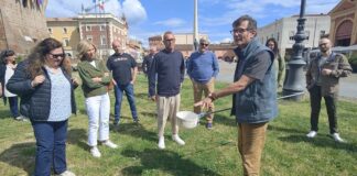 Bassa Romagna: due appuntamenti formativi per la prevenzione e il controllo delle zanzare