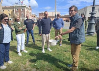 Bassa Romagna: due appuntamenti formativi per la prevenzione e il controllo delle zanzare