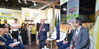 “Keep calm and bevi vino italiano”: campagna per il consumo consapevole del vino