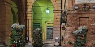A Massa Lombarda commercianti e cittadini adottano le fioriere del centro storico