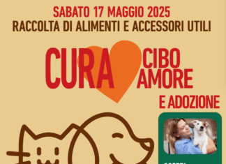 Raccolta solidale e adozioni al PetStore Conad