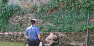 Sciame di api al mercato di Lugo: intervengono i Carabinieri