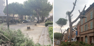 Amministrative. Ancisi: “Barattoni ambientalista. Dov’era o dormiva con de Pascale sindaco?”