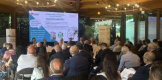 Fruttagel: fatturato in leggero aumento e numero di occupati stabile